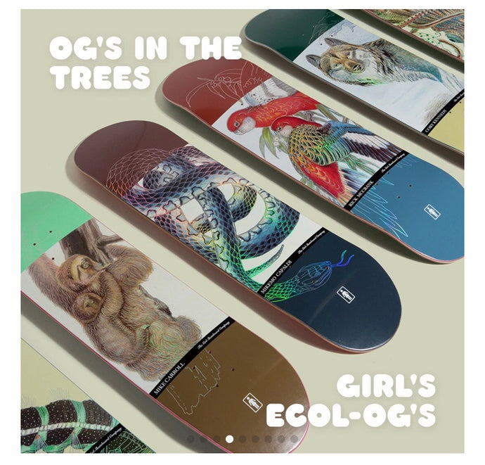Girl Skateboards Ecol OG Series