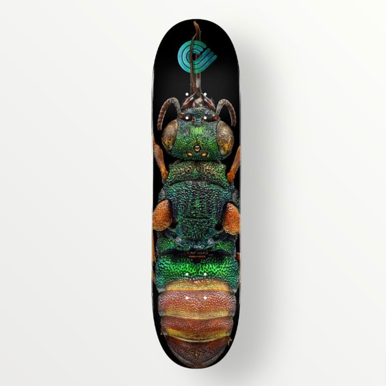 Powell Peralta Ruby Tailed Wasp 8.5” Deck