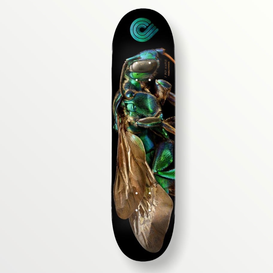 Powell Peralta Orchid Cuckoo Bee  8” Deck